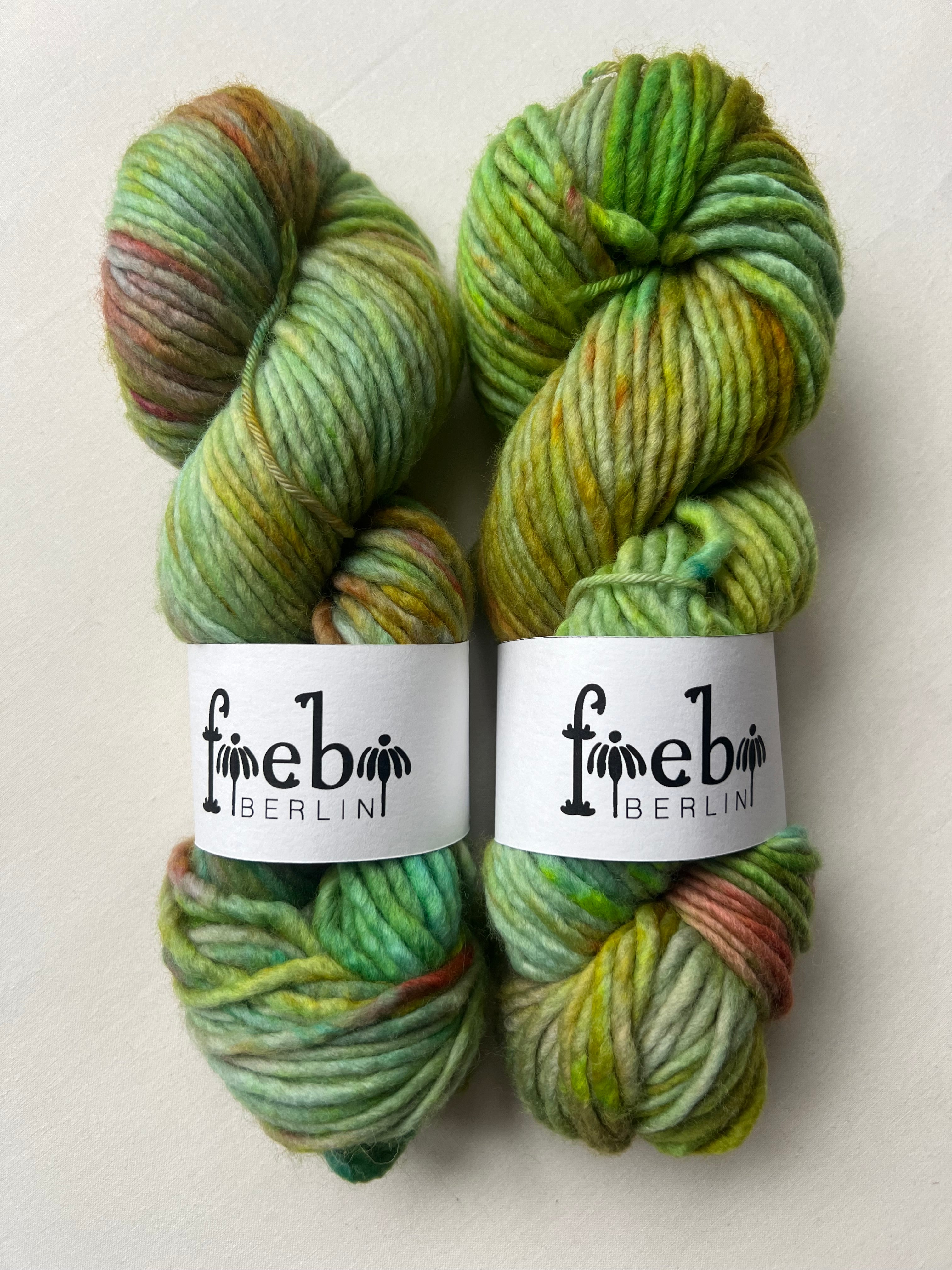 Spring Bird chunky Merino Wolle