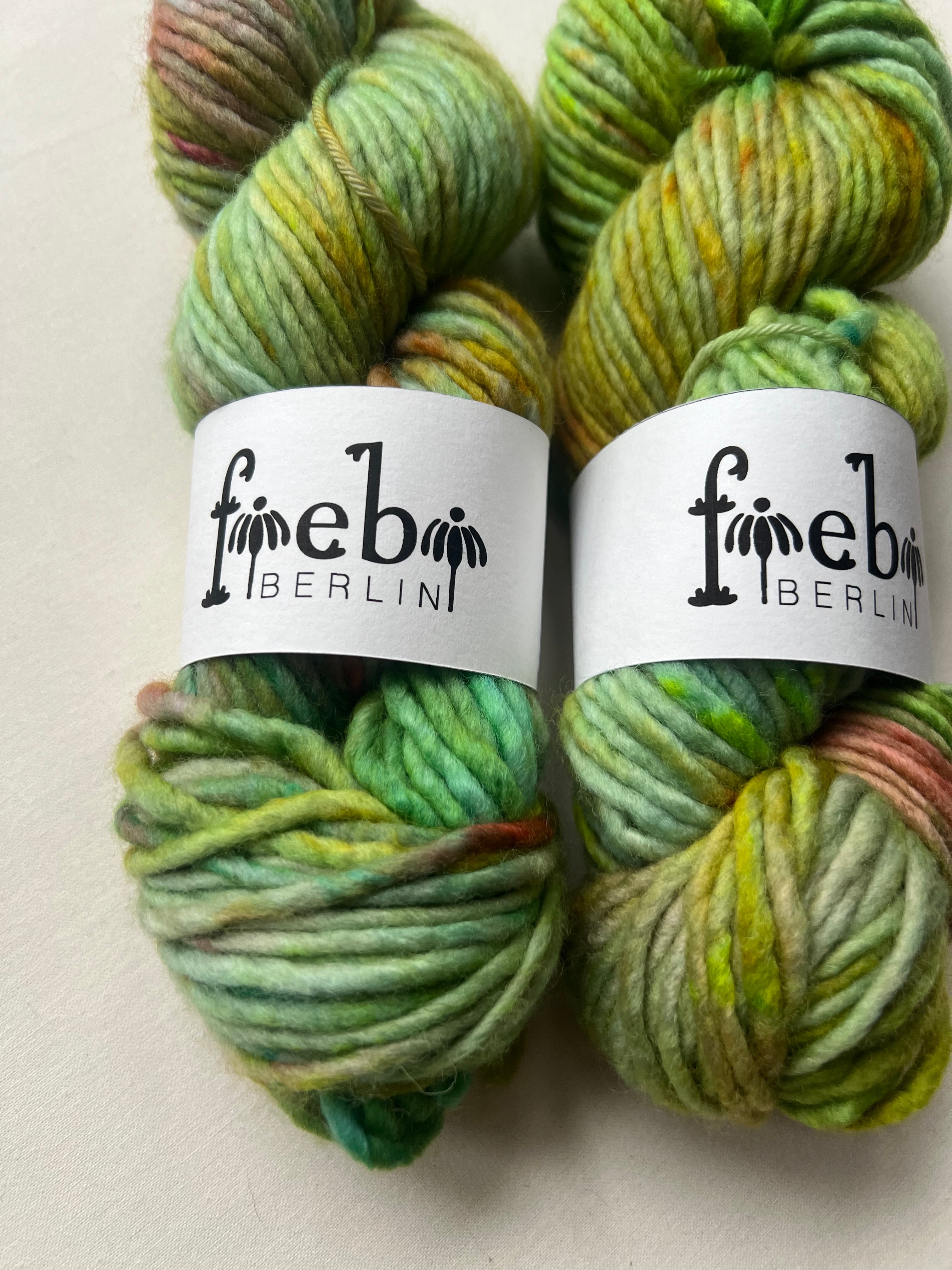 Spring Bird chunky Merino Wolle