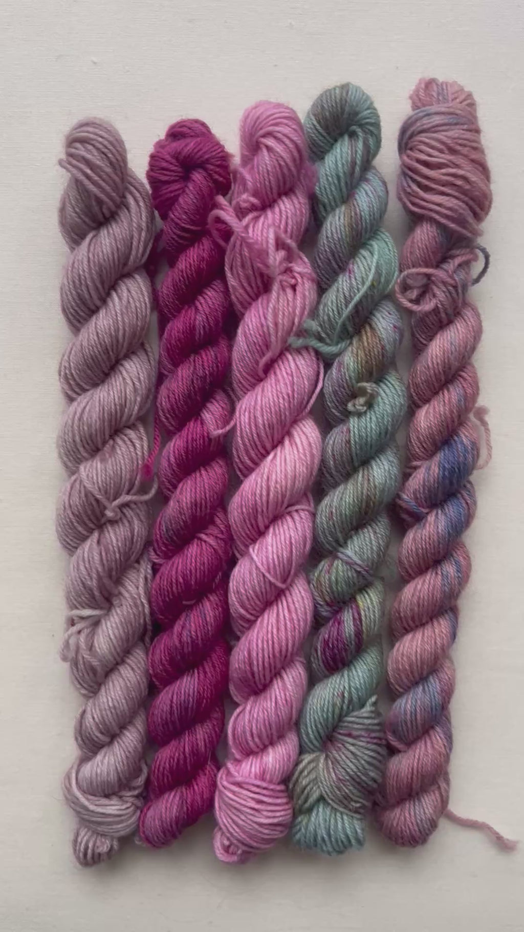 Hungry Orchid Woll-Minis